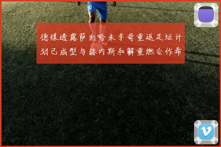 德媒透露萨利哈米季奇重返足坛计划已成型与赫内斯和解重燃合作希望