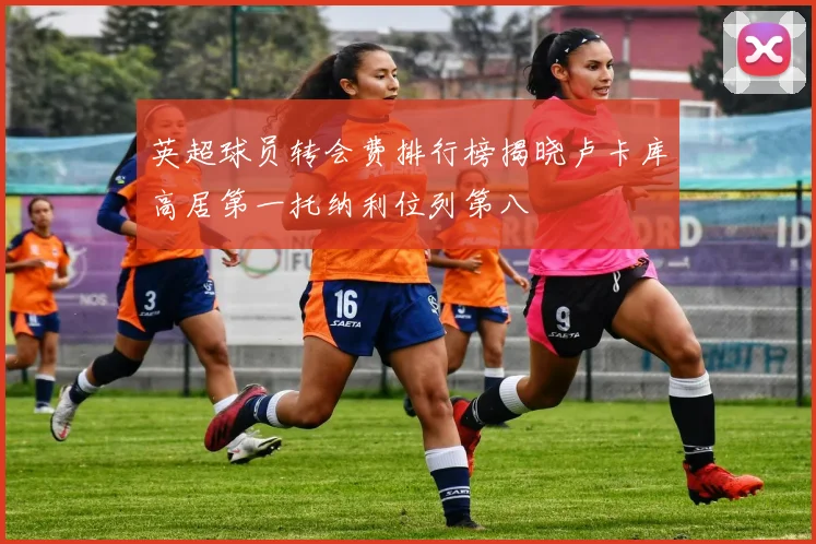 英超球员转会费排行榜揭晓卢卡库高居第一托纳利位列第八