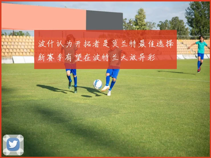 波什认为开拓者是莫兰特最佳选择新赛季有望在波特兰大放异彩